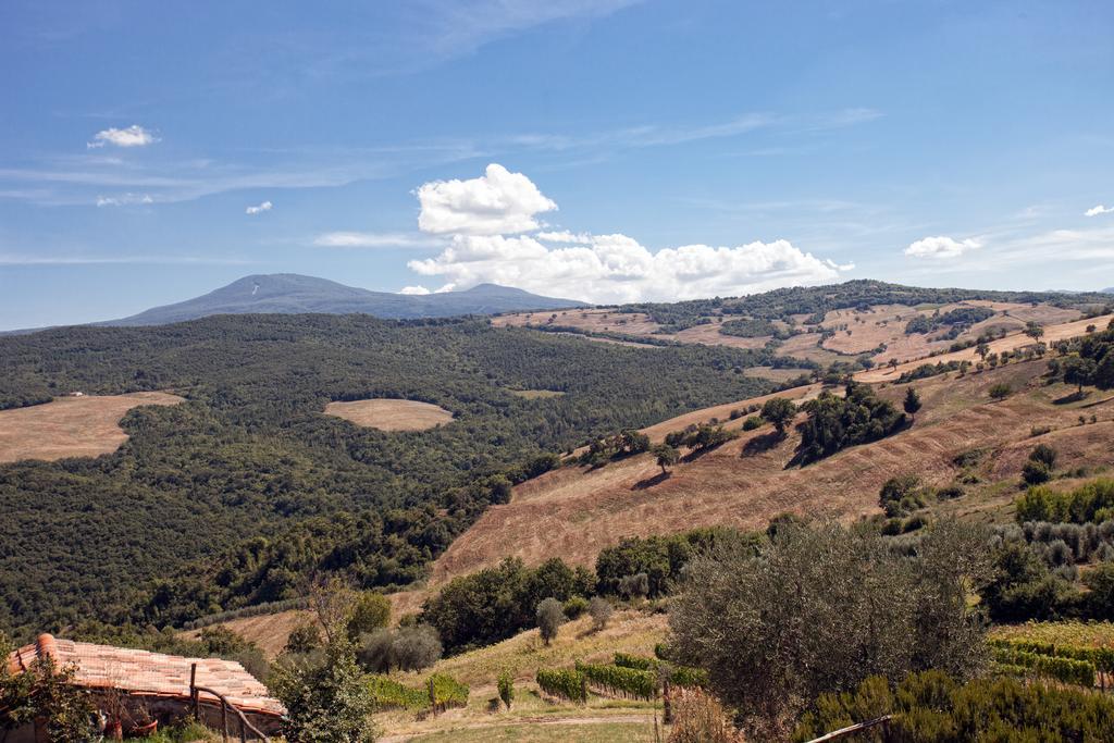 Podere Casella Villa Castiglione d'Orcia Ngoại thất bức ảnh